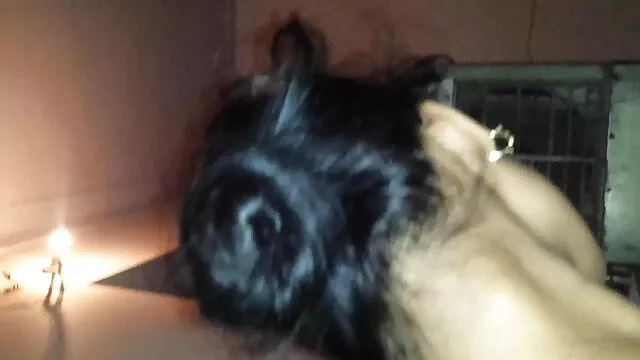 バスルームで殴られ、犯された通りの若い女性 女の子 の ため の 無料 エッチ 動画